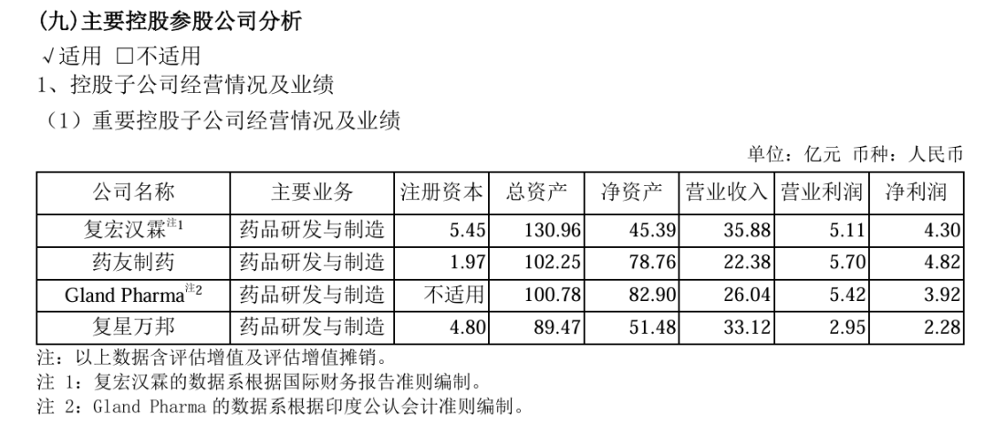 图源：复星医药2026年半年度报告